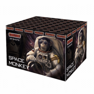 Space Monkey - 30 Second Display Cake